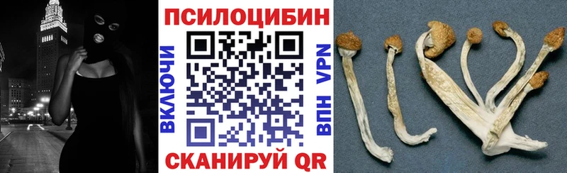 Галлюциногенные грибы ЛСД  MEGA рабочий сайт  Шимановск 